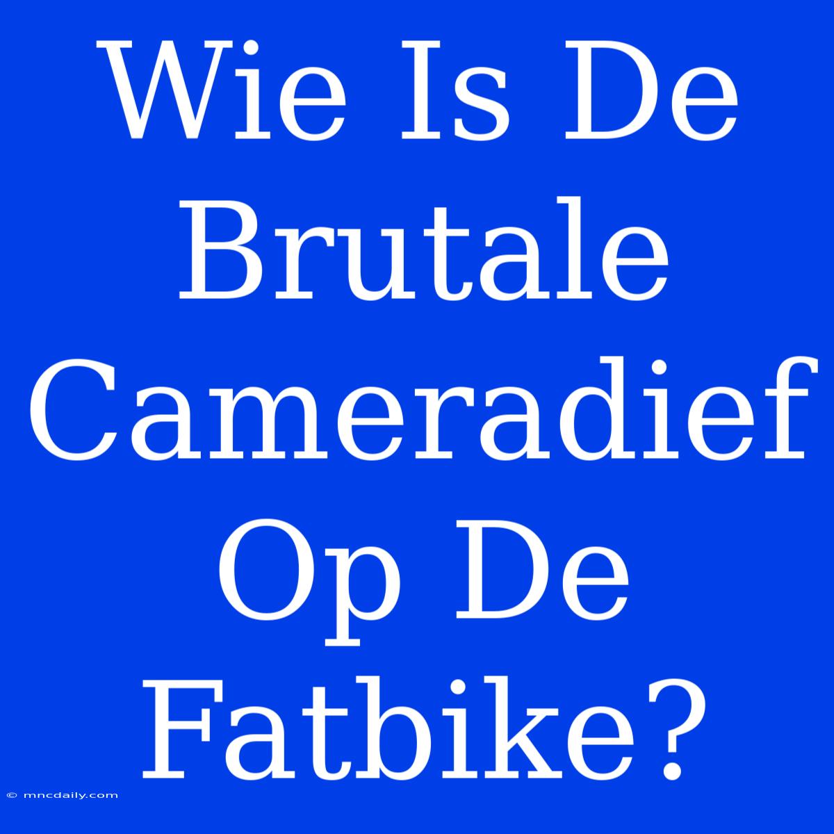 Wie Is De Brutale Cameradief Op De Fatbike?