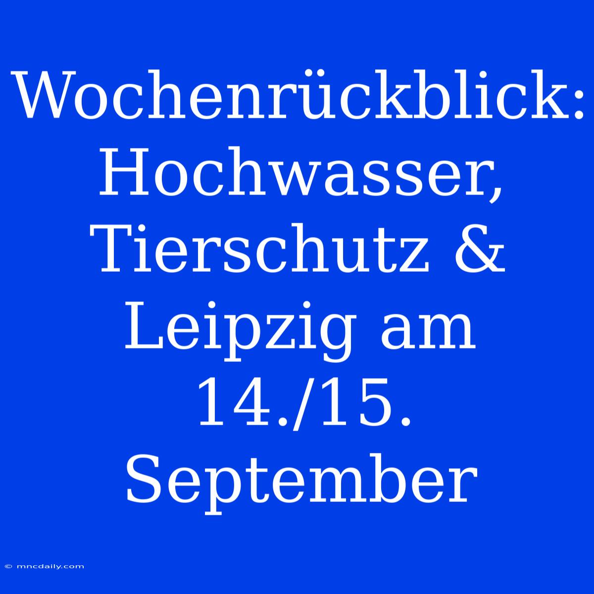 Wochenrückblick: Hochwasser, Tierschutz & Leipzig Am 14./15. September