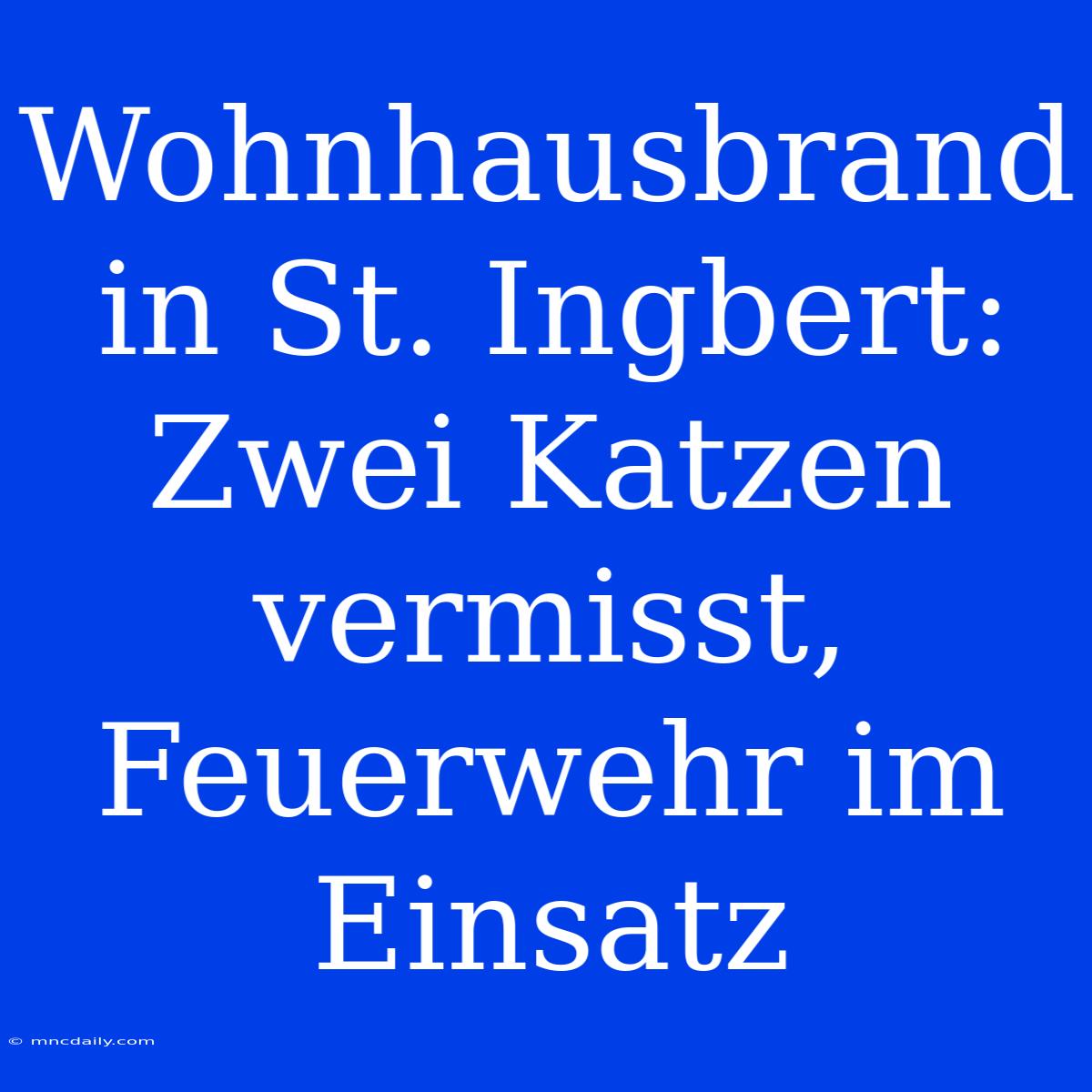 Wohnhausbrand In St. Ingbert: Zwei Katzen Vermisst, Feuerwehr Im Einsatz