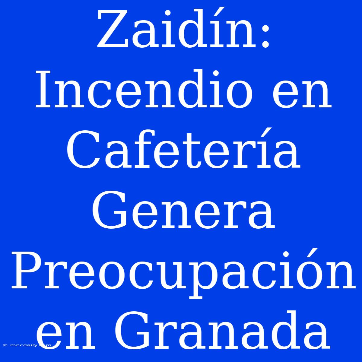 Zaidín: Incendio En Cafetería Genera Preocupación En Granada