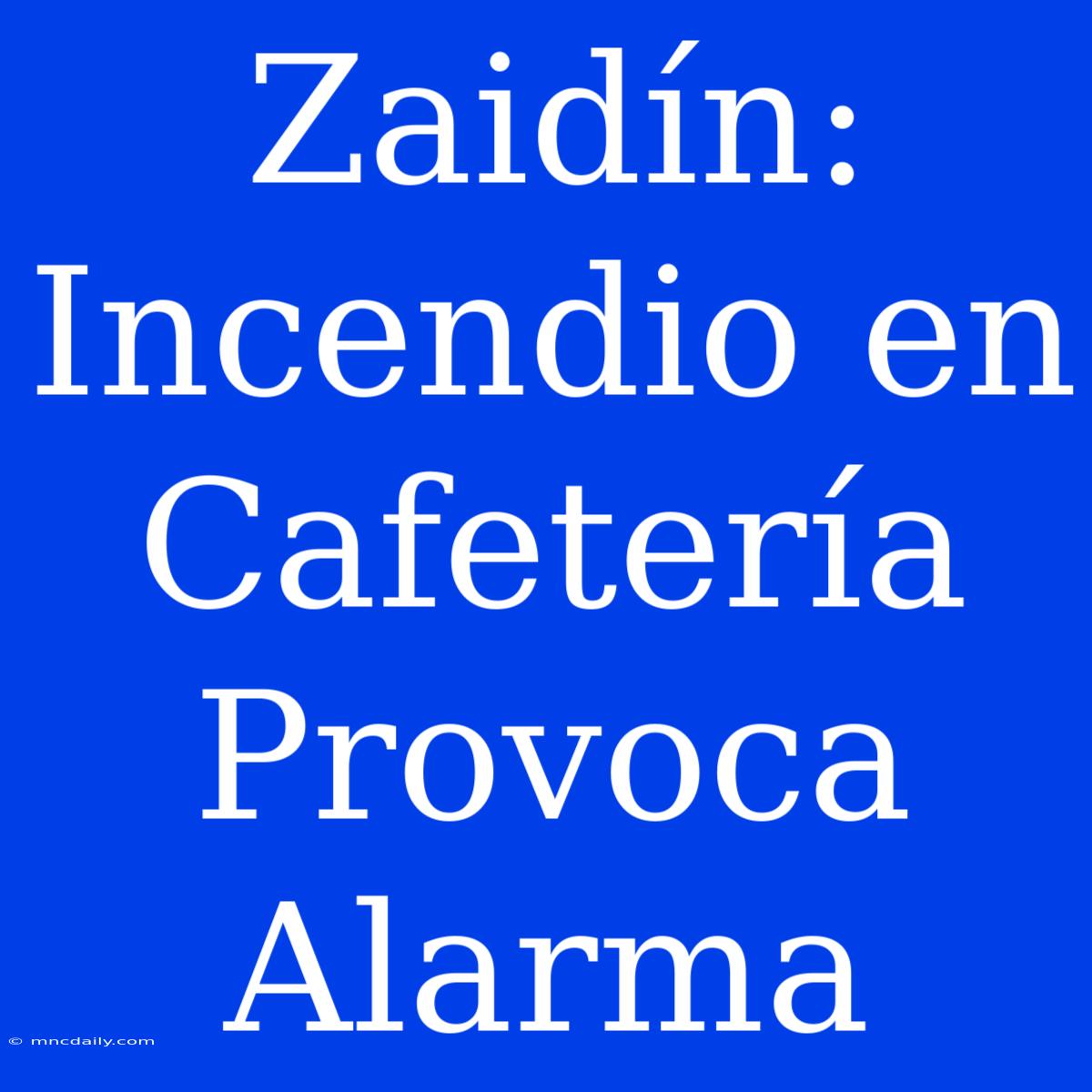 Zaidín: Incendio En Cafetería Provoca Alarma