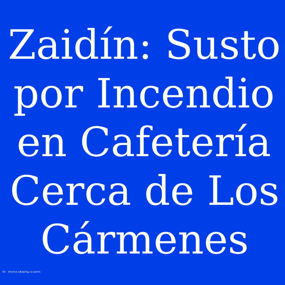 Zaidín: Susto Por Incendio En Cafetería Cerca De Los Cármenes