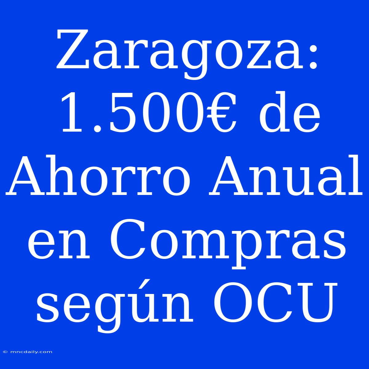 Zaragoza: 1.500€ De Ahorro Anual En Compras Según OCU