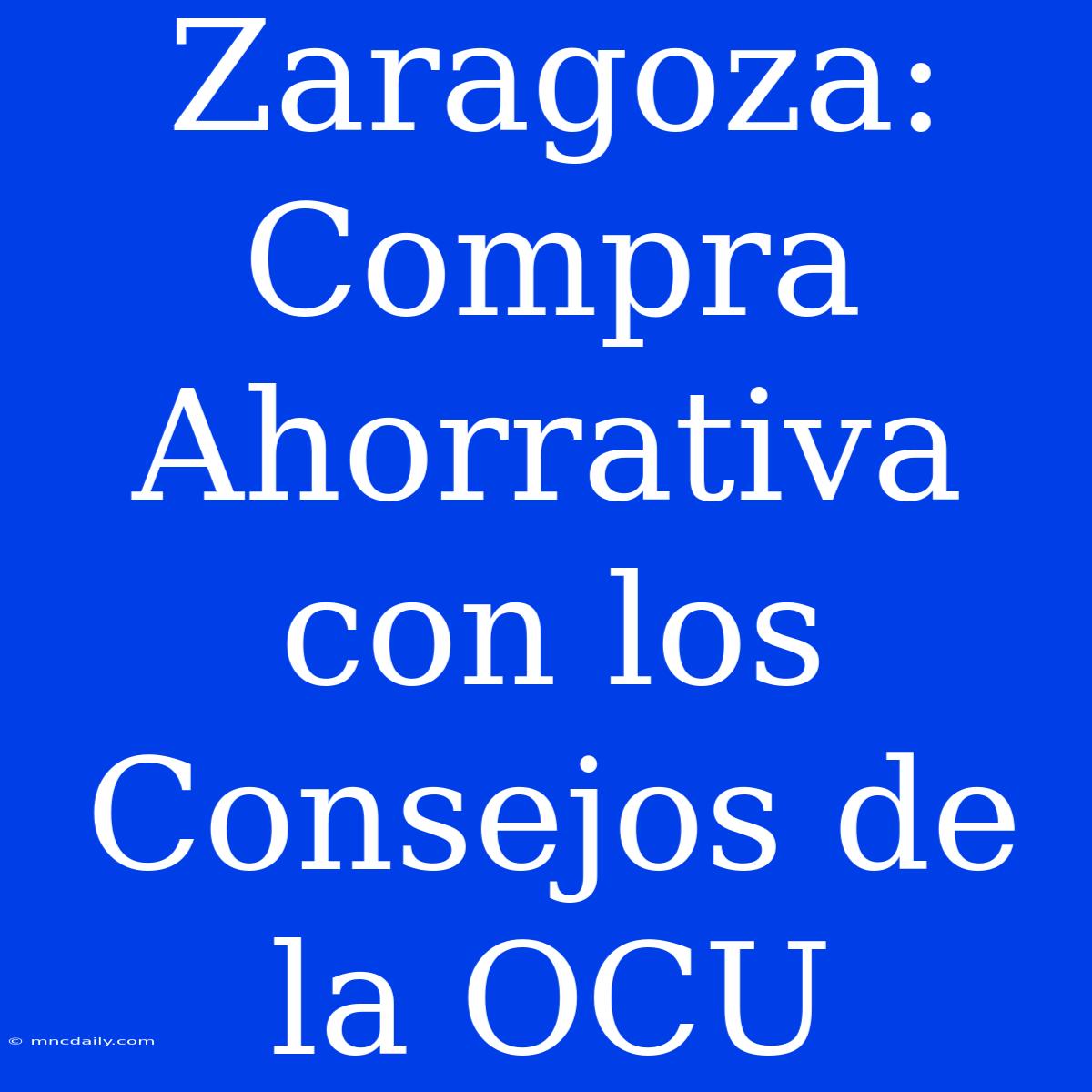 Zaragoza: Compra Ahorrativa Con Los Consejos De La OCU