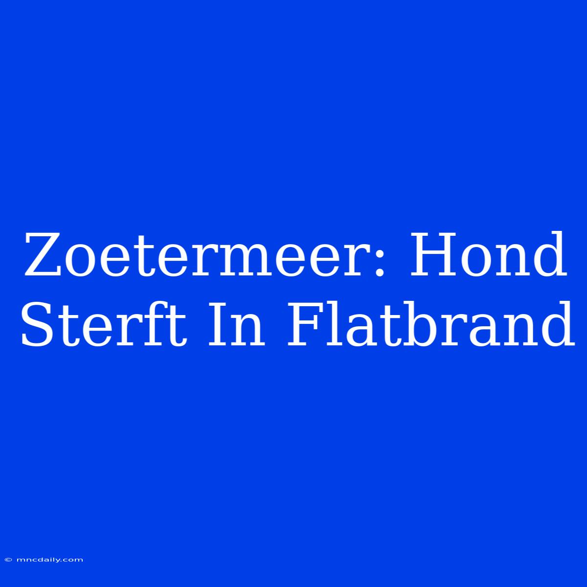 Zoetermeer: Hond Sterft In Flatbrand