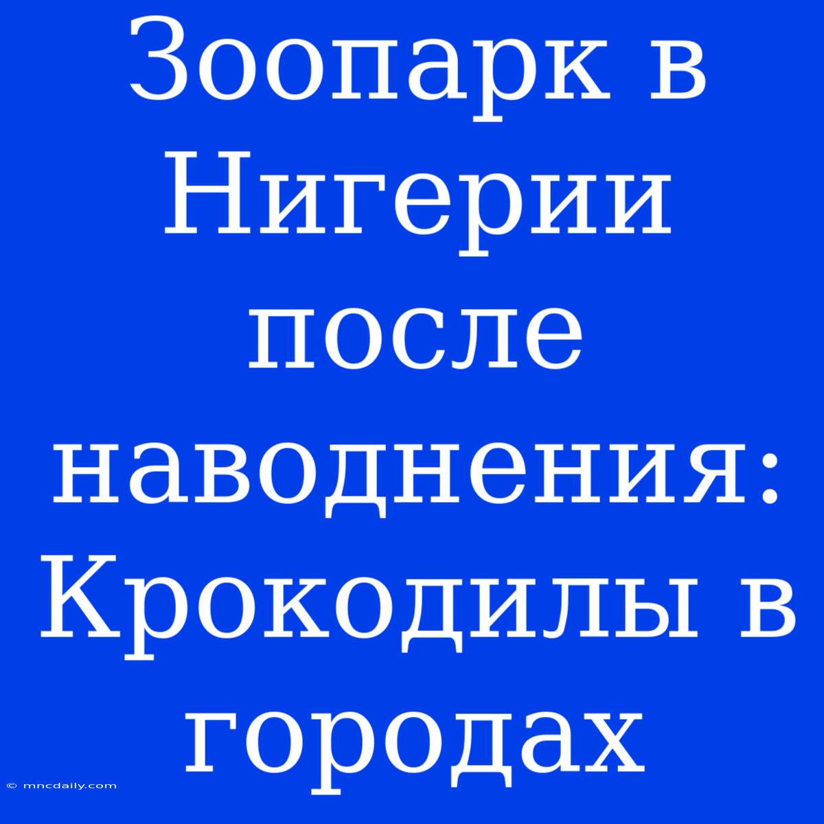 Зоопарк В Нигерии После Наводнения: Крокодилы В Городах